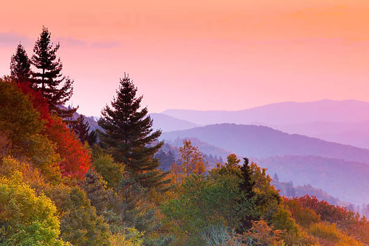 Distant mountains rise above colorful foliage and silhouetted trees, with the warm glow of sunset casting a serene mood. The scene invites guests to imagine hiking, enjoying a picnic, and stargazing after a day of exploration.