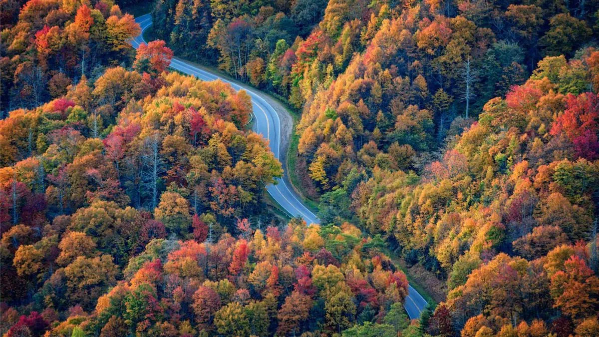 A winding road curls through a vibrant landscape of autumn foliage, set against a dramatic backdrop of mountains. The scene captures the natural beauty and adventure waiting just beyond the doorstep, signaling nearby parks, trails, and endless outdoor exploration.